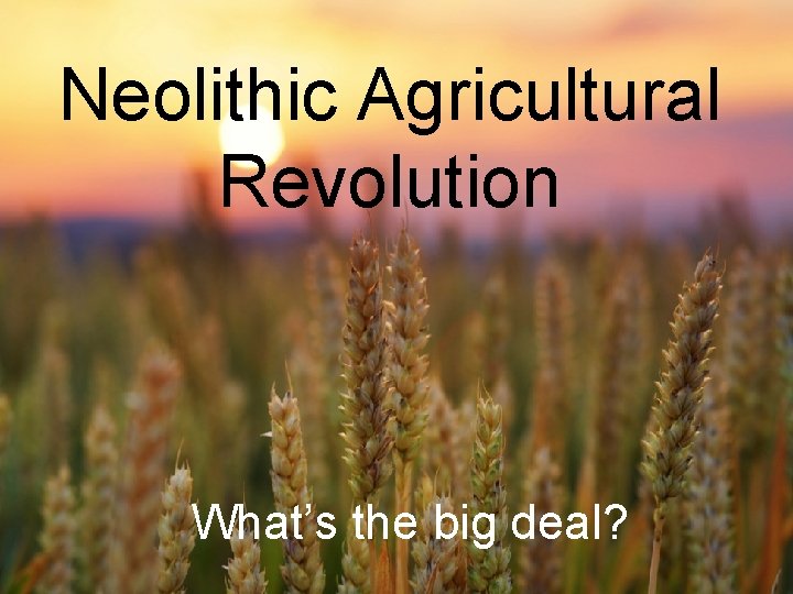Neolithic Agricultural Revolution © CSCOPE 2009 What’s the big deal? 