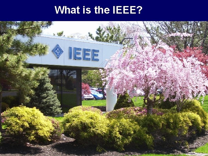 What is the IEEE? • • Lewis Terman 2008 IEEE President and CEO IEEE