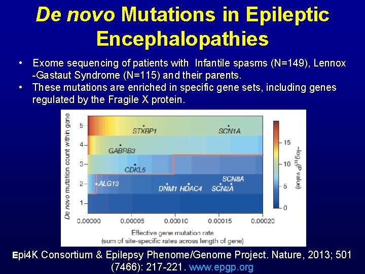 De novo Mutations in Epileptic Encephalopathies • Exome sequencing of patients with Infantile spasms