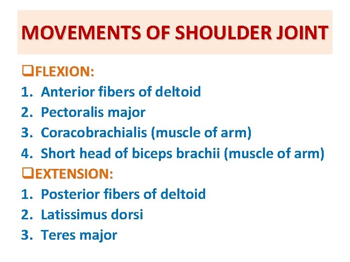 MOVEMENTS OF SHOULDER JOINT q. FLEXION: 1. Anterior fibers of deltoid 2. Pectoralis major