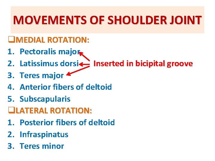 MOVEMENTS OF SHOULDER JOINT q. MEDIAL ROTATION: 1. Pectoralis major 2. Latissimus dorsi Inserted