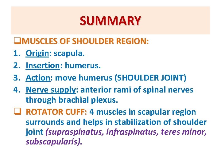 SUMMARY q. MUSCLES OF SHOULDER REGION: 1. Origin: scapula. 2. Insertion: humerus. 3. Action: