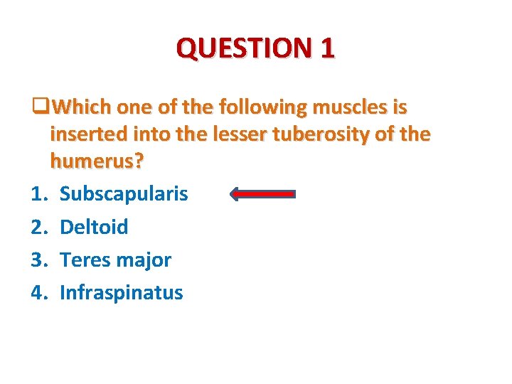 QUESTION 1 q. Which one of the following muscles is inserted into the lesser