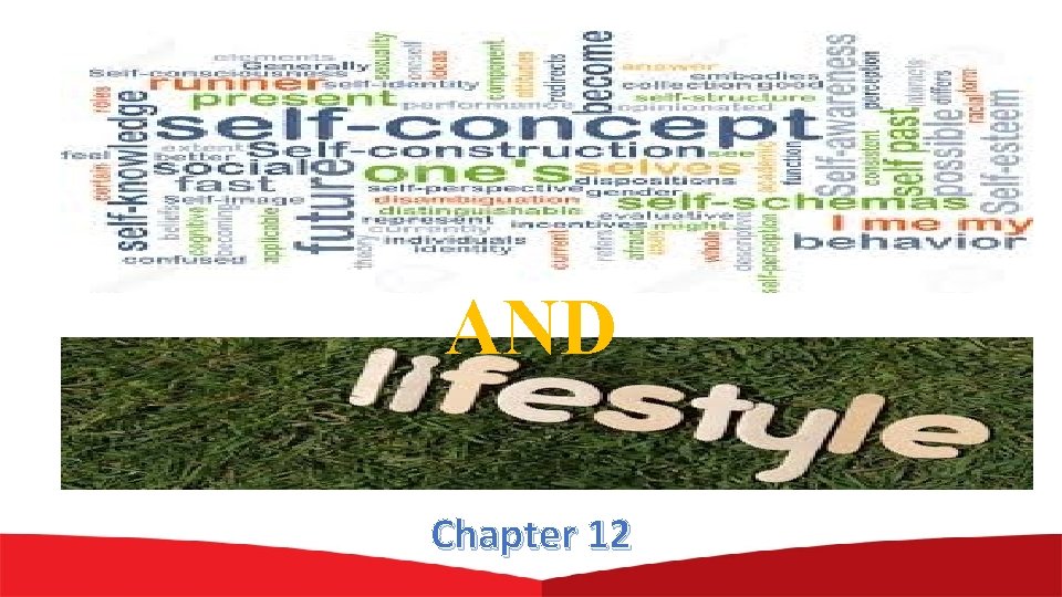 AND Chapter 12 AND Chapter 12