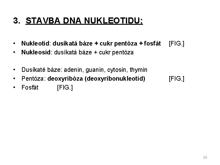 3. STAVBA DNA NUKLEOTIDU: • Nukleotid: dusíkatá báze + cukr pentóza + fosfát •