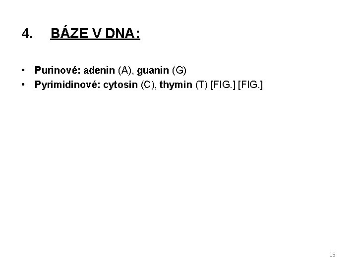 4. BÁZE V DNA: • Purinové: adenin (A), guanin (G) • Pyrimidinové: cytosin (C),