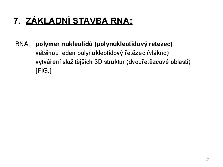 7. ZÁKLADNÍ STAVBA RNA: polymer nukleotidů (polynukleotidový řetězec) většinou jeden polynukleotidový řetězec (vlákno) vytváření