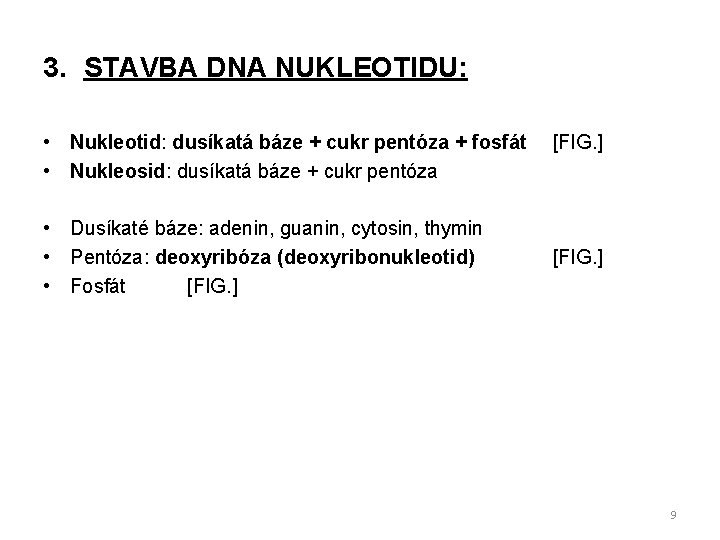 3. STAVBA DNA NUKLEOTIDU: • Nukleotid: dusíkatá báze + cukr pentóza + fosfát •