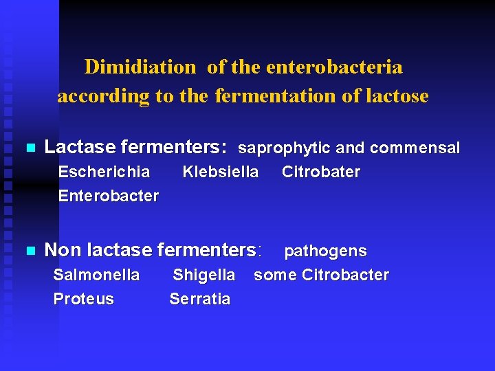 Dimidiation of the enterobacteria according to the fermentation of lactose n Lactase fermenters: saprophytic