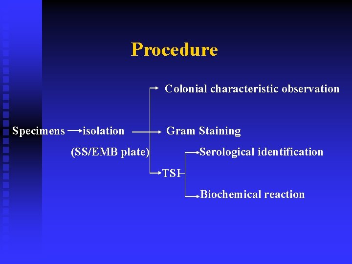 Procedure Colonial characteristic observation Specimens isolation Gram Staining (SS/EMB plate) Serological identification TSI Biochemical