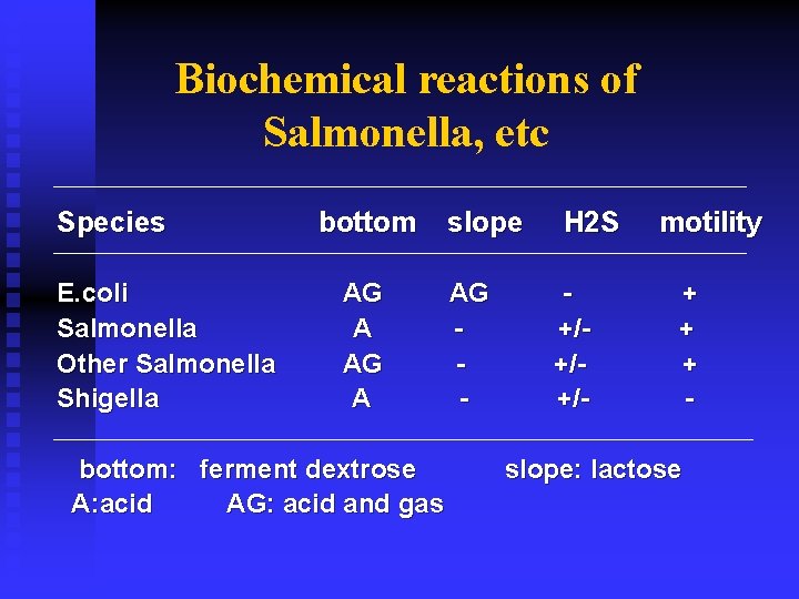 Biochemical reactions of Salmonella, etc Species E. coli Salmonella Other Salmonella Shigella bottom AG