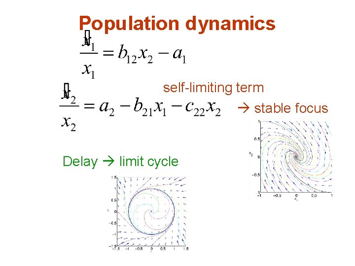 Population dynamics self-limiting term stable focus Delay limit cycle 