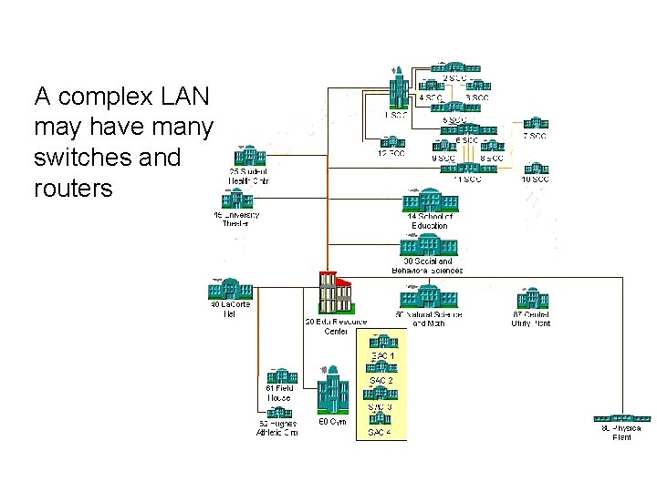 A complex LAN may have many switches and routers 