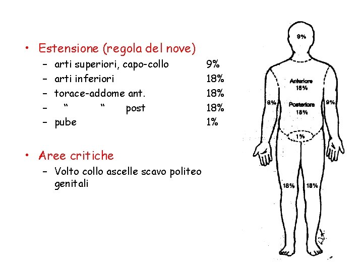 • Estensione (regola del nove) – – – arti superiori, capo-collo arti inferiori • Estensione (regola del nove) – – – arti superiori, capo-collo arti inferiori