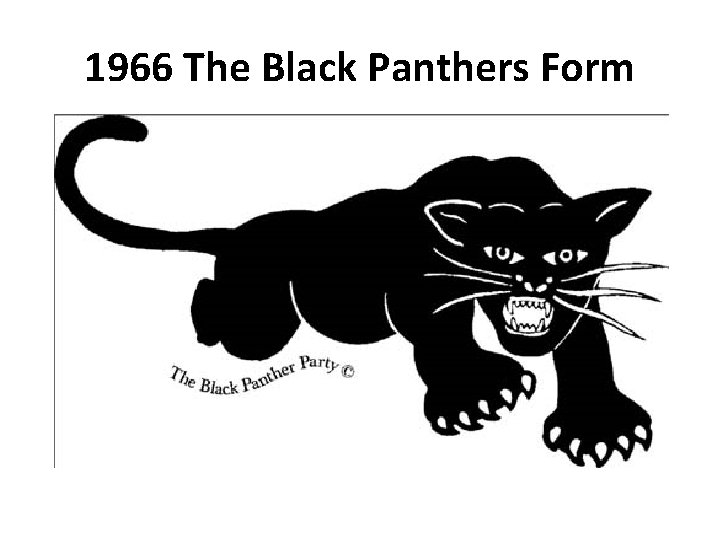 1966 The Black Panthers Form 1966 The Black Panthers Form
