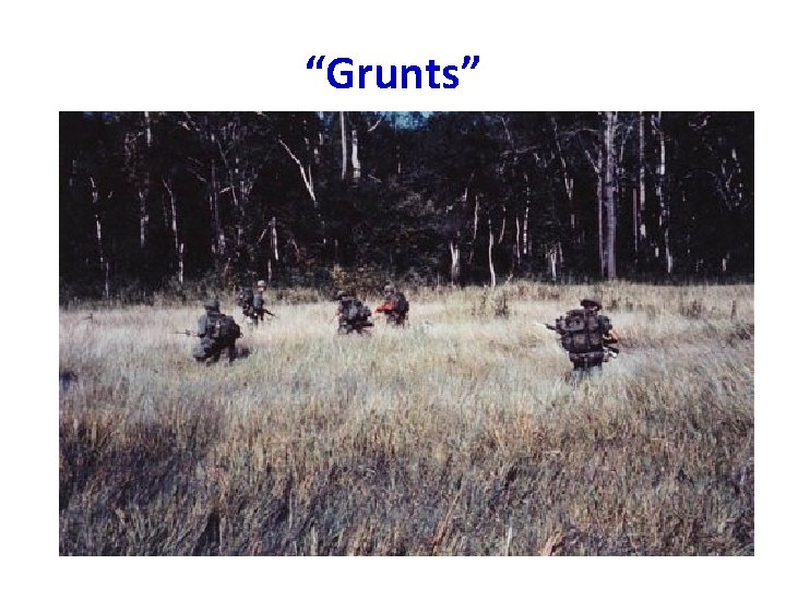 “Grunts” “Grunts”