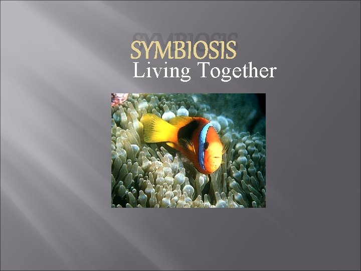 SYMBIOSIS Living Together 