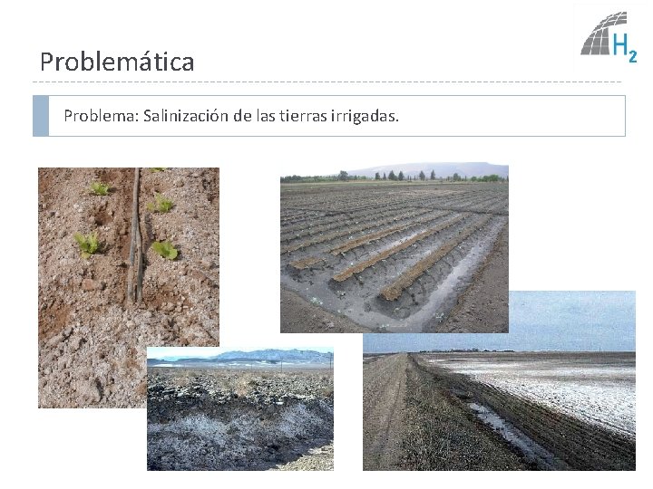 Problemática Problema: Salinización de las tierras irrigadas. 