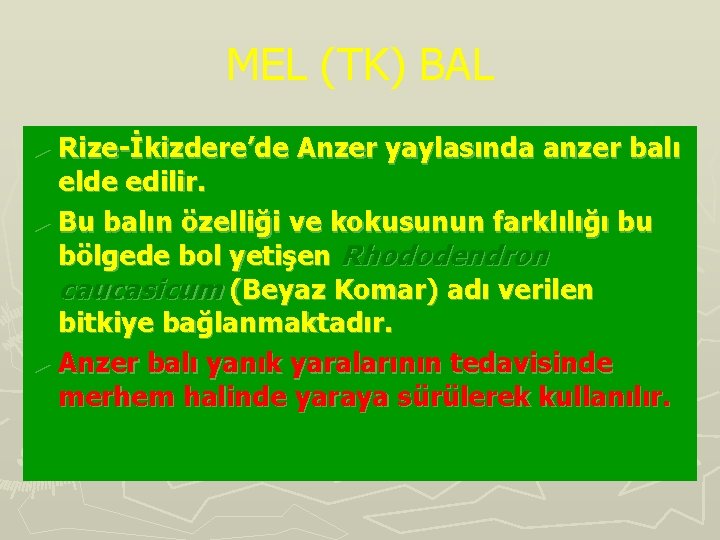 MEL (TK) BAL ► Rize-İkizdere’de Anzer yaylasında anzer balı elde edilir. ► Bu balın