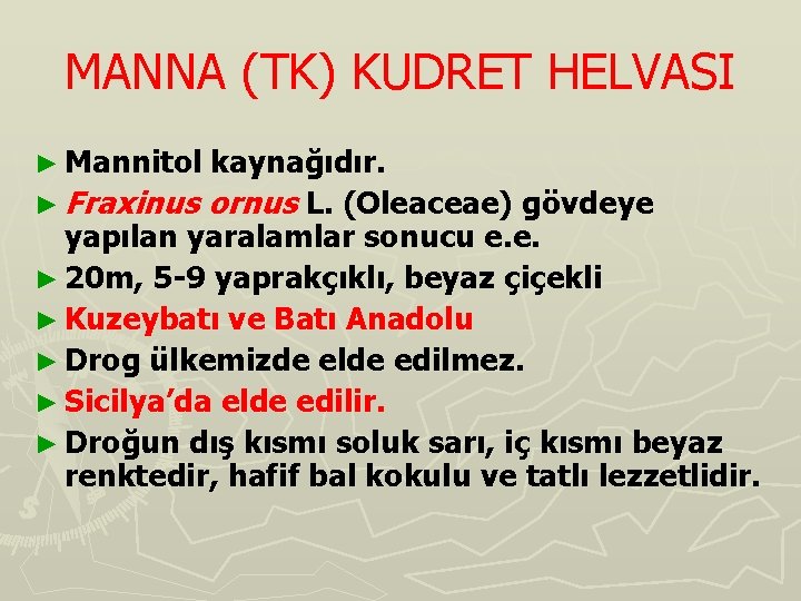 MANNA (TK) KUDRET HELVASI ► Mannitol kaynağıdır. ► Fraxinus ornus L. (Oleaceae) gövdeye yapılan