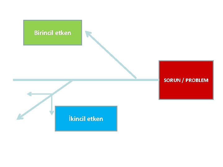 Birincil etken SORUN / PROBLEM İkincil etken 