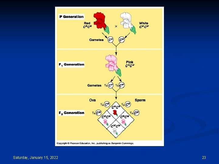 Saturday, January 15, 2022 23 