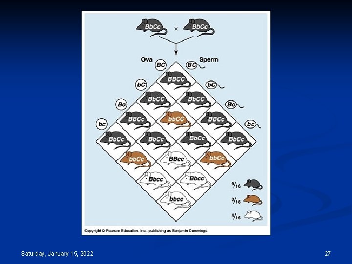 Saturday, January 15, 2022 27 