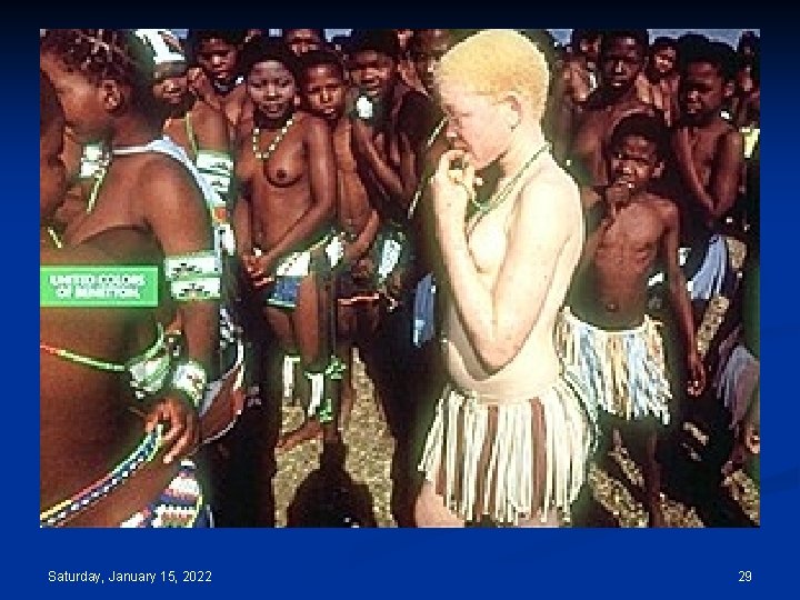 Saturday, January 15, 2022 29 