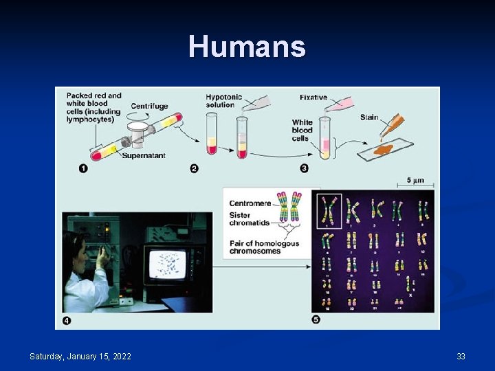 Humans Saturday, January 15, 2022 33 