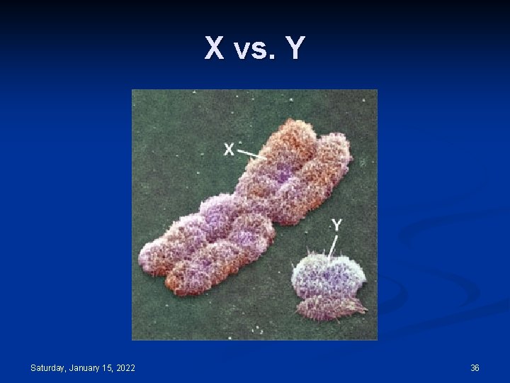X vs. Y Saturday, January 15, 2022 36 