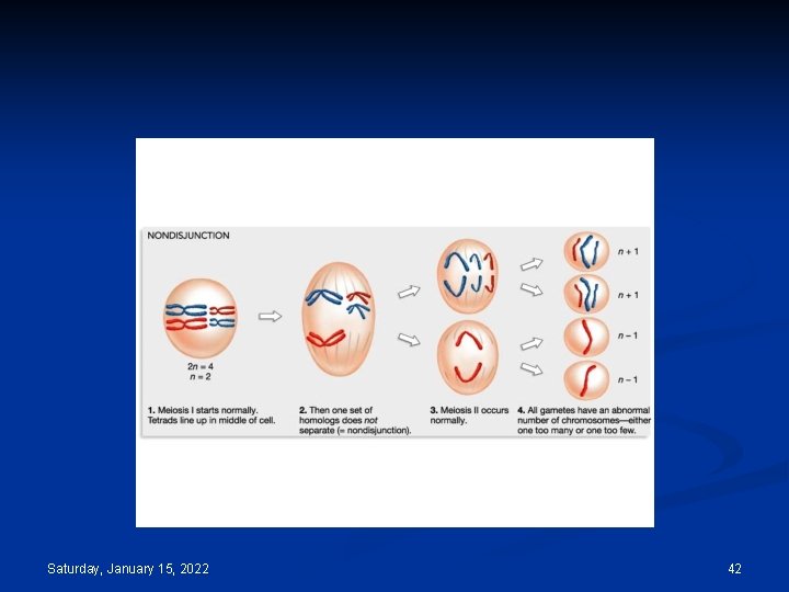 Saturday, January 15, 2022 42 