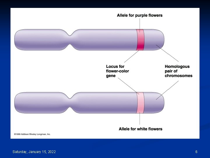 Saturday, January 15, 2022 6 