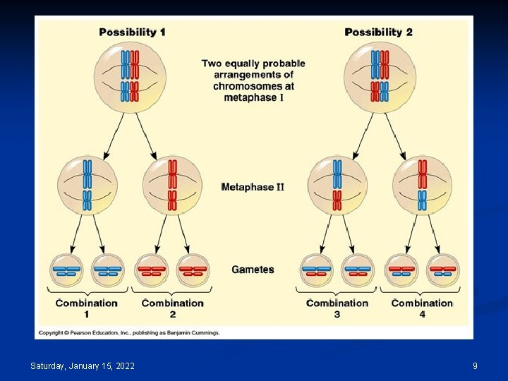 Saturday, January 15, 2022 9 