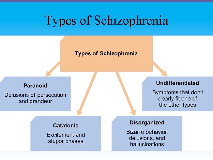 Types of Schizophrenia 