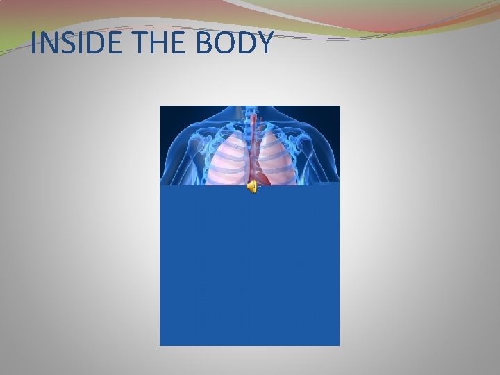 INSIDE THE BODY 