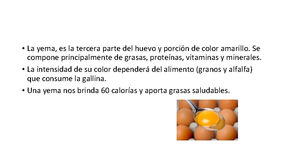  • La yema, es la tercera parte del huevo y porción de color