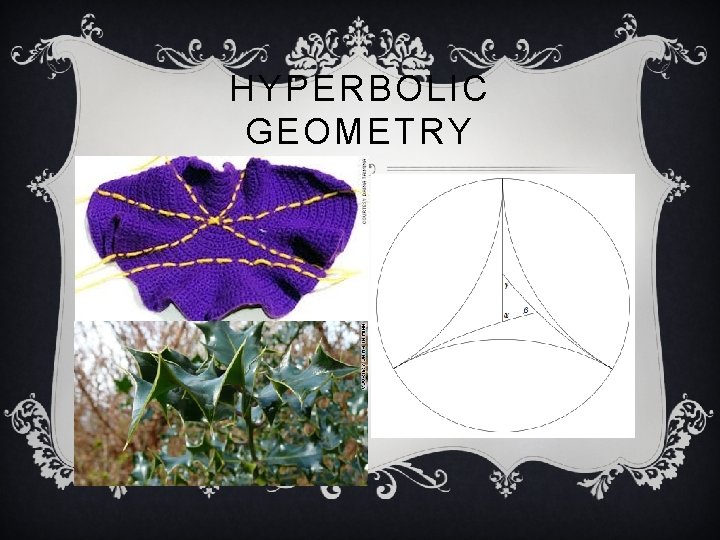 HYPERBOLIC GEOMETRY 