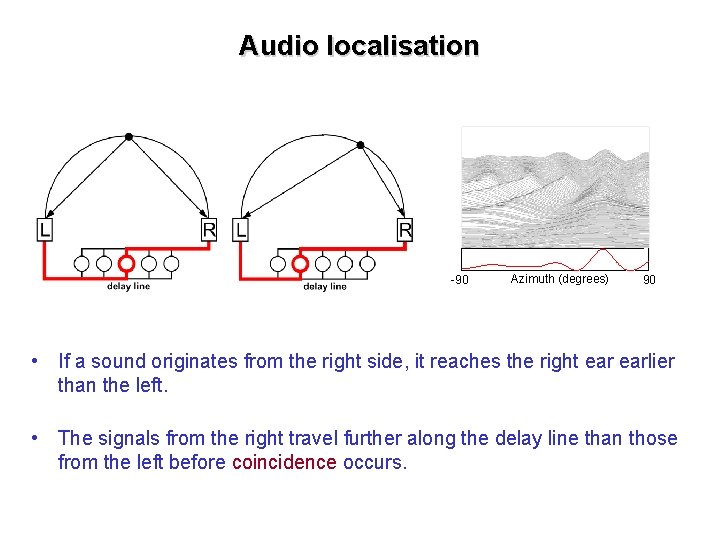Audio localisation -90 Azimuth (degrees) 90 • If a sound originates from the right