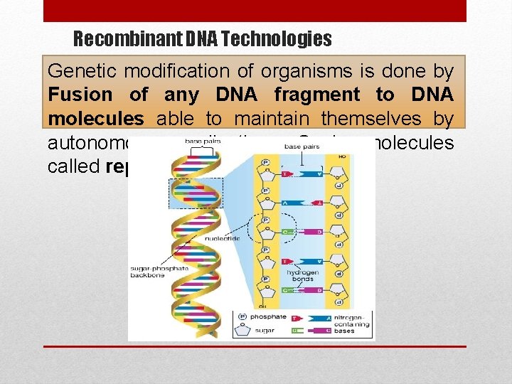 Recombinant DNA Technologies Genetic modification of organisms is done by Fusion of any DNA