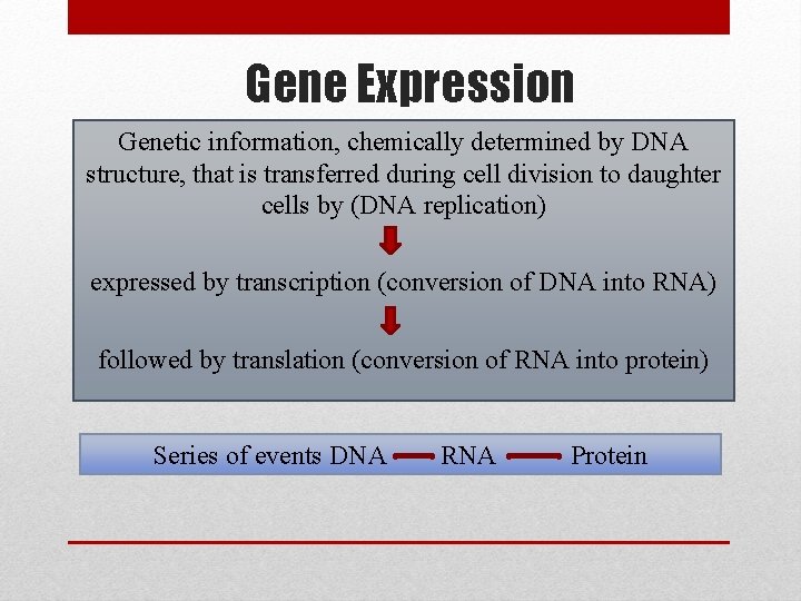 Gene Expression Genetic information, chemically determined by DNA structure, that is transferred during cell