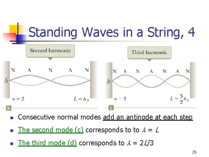 Standing Waves in a String, 4 n Consecutive normal modes add an antinode at