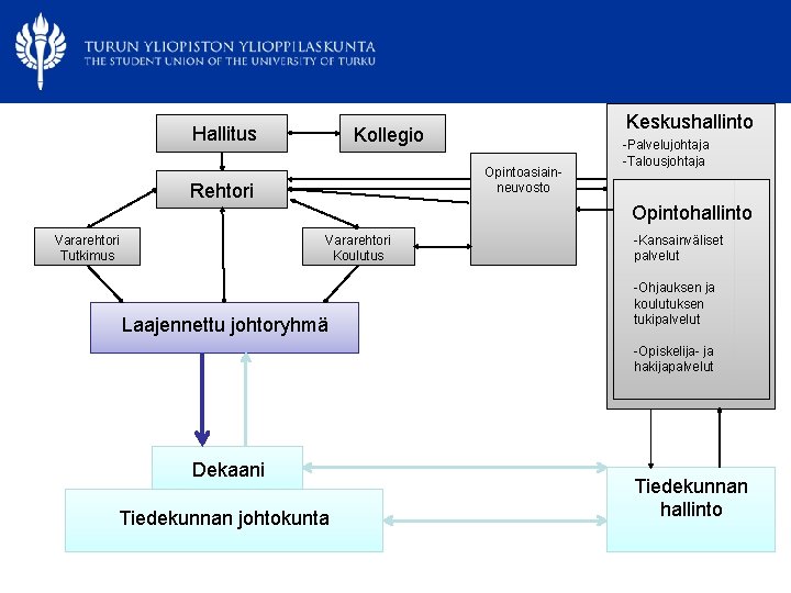 Hallitus Opintoasiainneuvosto Rehtori Vararehtori Tutkimus Keskushallinto Kollegio -Palvelujohtaja -Talousjohtaja Opintohallinto Vararehtori Koulutus Laajennettu johtoryhmä