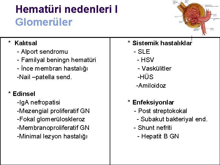 Hematüri nedenleri I Glomerüler * Kalıtsal - Alport sendromu - Familyal beningn hematüri -