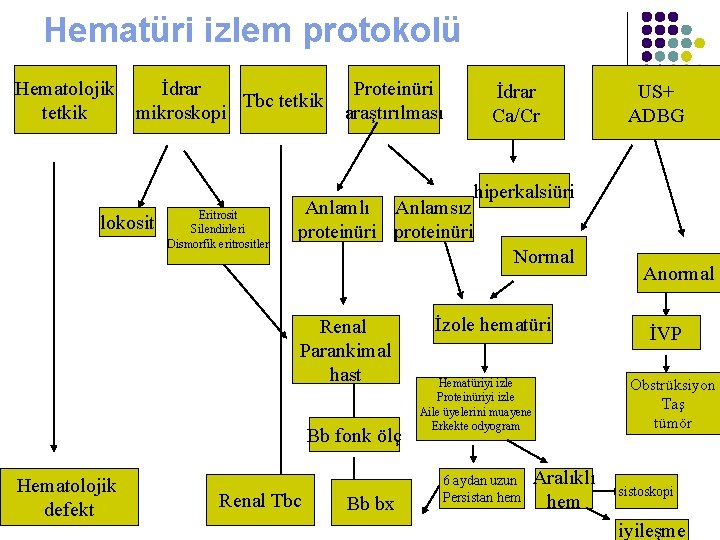 Hematüri izlem protokolü Hematolojik tetkik İdrar Tbc tetkik mikroskopi lokosit Eritrosit Silendirleri Dismorfik eritrositler