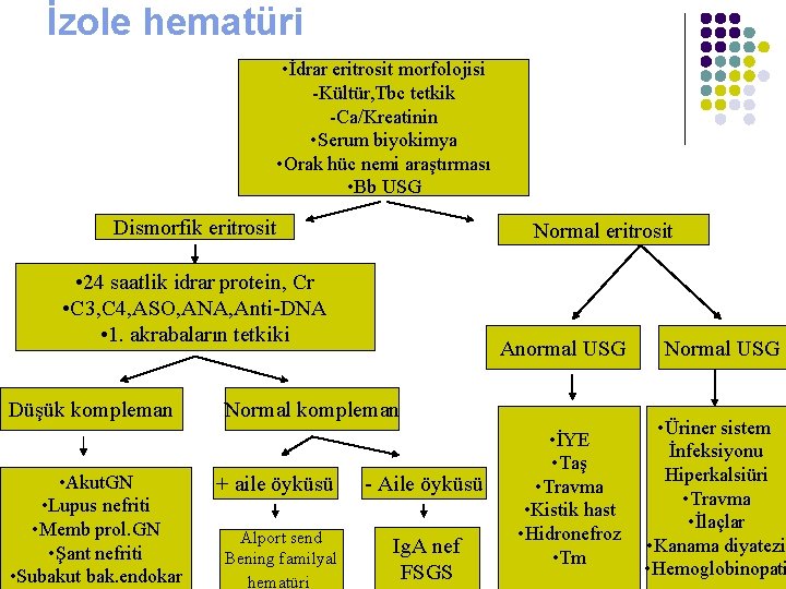 İzole hematüri • İdrar eritrosit morfolojisi -Kültür, Tbc tetkik -Ca/Kreatinin • Serum biyokimya •