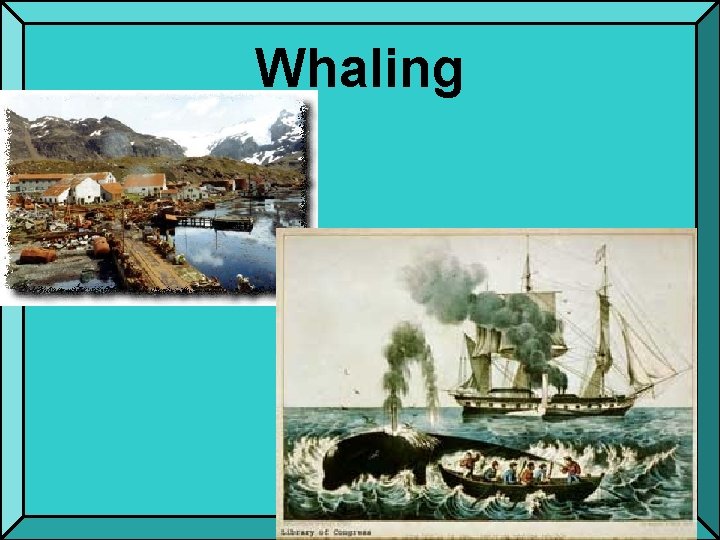 Whaling 