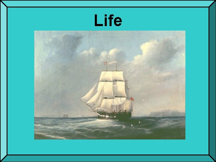 Life 