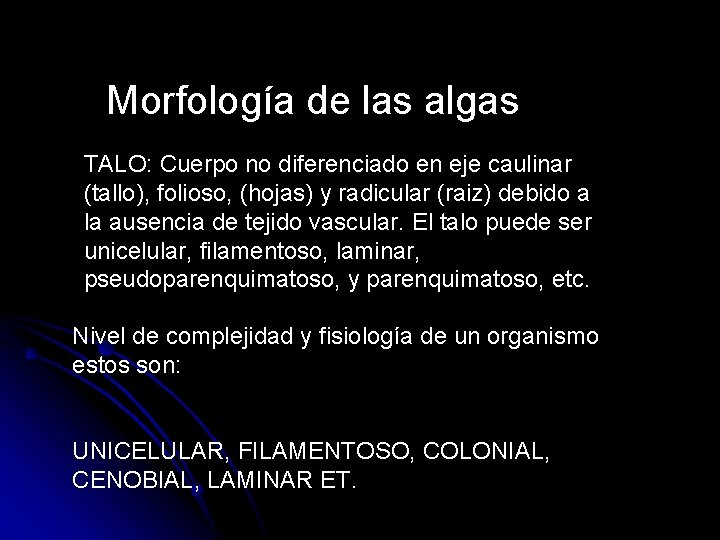 Morfología de las algas TALO: Cuerpo no diferenciado en eje caulinar (tallo), folioso, (hojas)