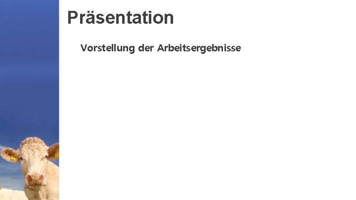 Präsentation Vorstellung der Arbeitsergebnisse 