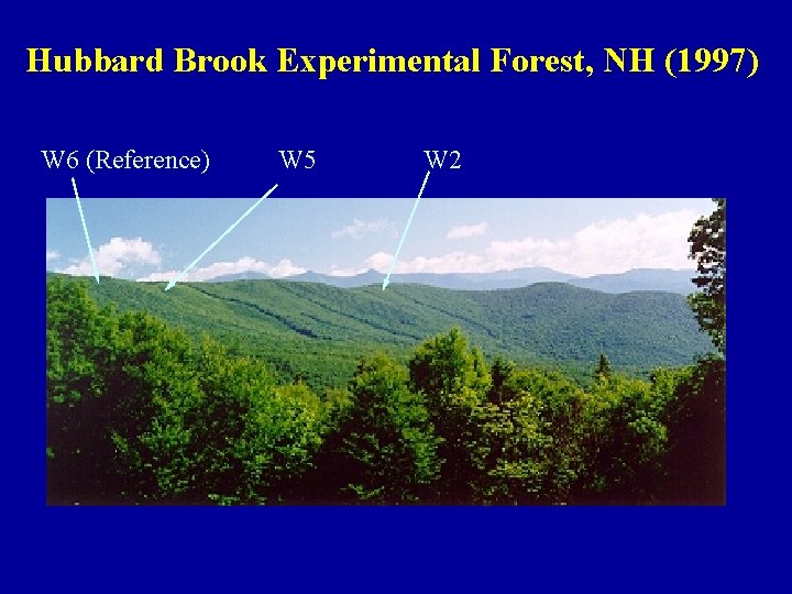 Hubbard Brook Experimental Forest, NH (1997) W 6 (Reference) W 5 W 2 